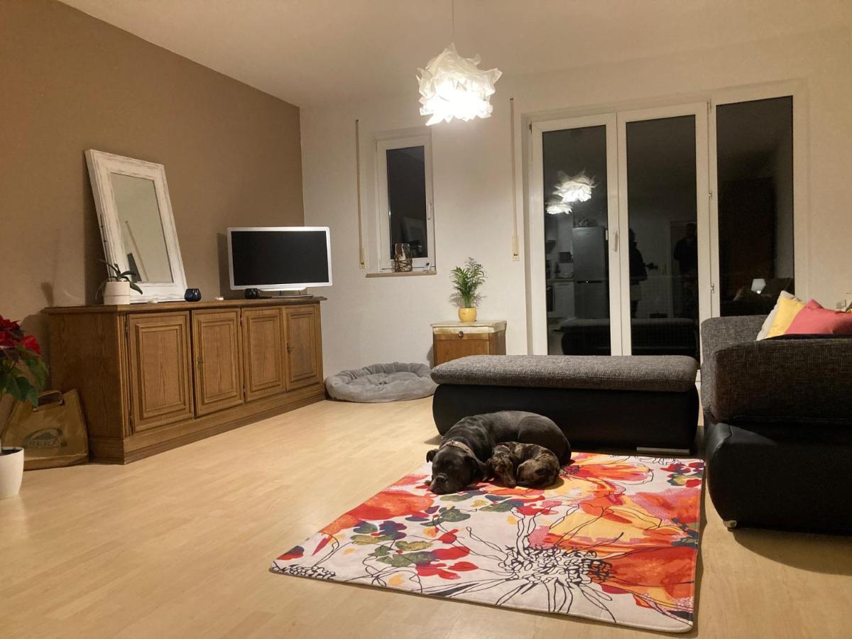 3 Zi Wohnung Haustiere Willkommen Im Markgraeflerland Dreilaendereck Schliengen Exterior foto